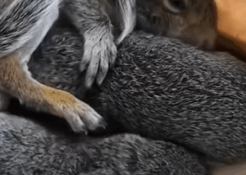 T0111086 Second chance = new life part2