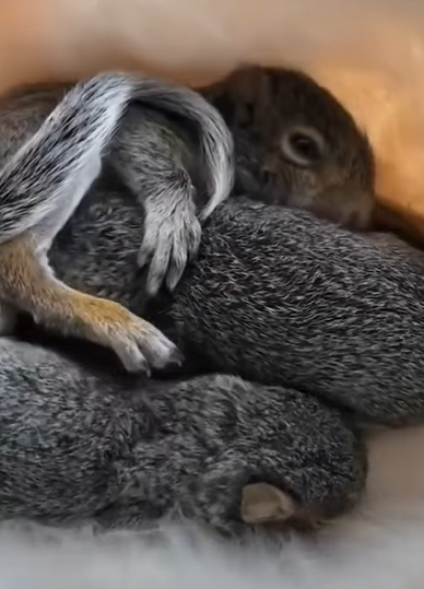 T0111086 Second chance = new life part2