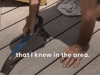 T0111087 Senior Citizens Come Together To Rescue Seven Tiny Puppies part2