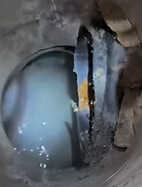 T0111051 cat catsoftiktok rescuecat part2