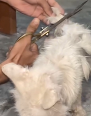 T2111029 To be love is to be changed He was undergoing treatment part2