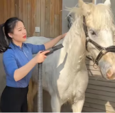 T2111026 Rescued an abandoned white horse,and then #animals #fyp #rescue #horse part2