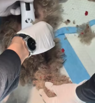 T2111023_rescued poor abandoned puppy.#animal #animals #puppy #dog#pet part2