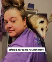 T2111012 My dog came back possum somewhere then #help #rescue part2