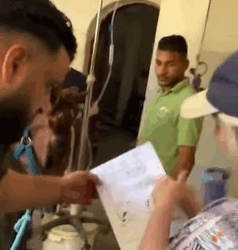 T0111083 Rescued. Reborn part2