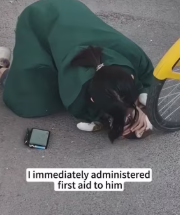 T2111002 cat fell great height, saved her then… #cat part2