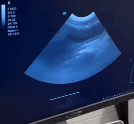 T1611037 Rescue cat #Tatcha #rescue #animals #adoptdontshop #petlover #cat part2