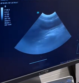 T1611037 Rescue cat #Tatcha #rescue #animals #adoptdontshop #petlover #cat part2