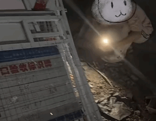 T1611035_Rescue cat #Tatcha #rescue #animals #adoptdontshop #petlover #cat_part2