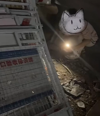 T1611035_Rescue cat #Tatcha #rescue #animals #adoptdontshop #petlover #cat_part2