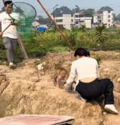 T1611002 rescued dog decided to adopt him#dog #puppy #rescue #animalre part2