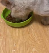 T2111057 His tough exterior is just to protect himself. Please don call him part2