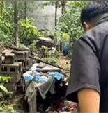 T1611028 Rescue dog #rescue #animals #adoptdontshop #petlover #garbagedump part2