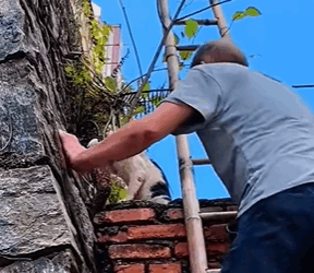 T2111051 cat was caught in trap. We helped it out very quickly part2