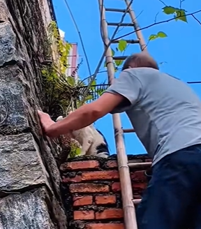 T2111051 cat was caught in trap. We helped it out very quickly part2