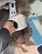 T2811029 rescued poor abandoned puppy.#animal #animals #puppy #dog#pet #re…_part2