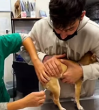 T2811023 came across an adorable little puppy on my way home #help #rescue_part2