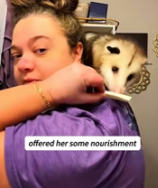 T2811020 My dog came back possum somewhere then #help #rescue_part2