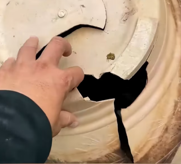 T1912010 Rescue family cat #rescue #animalsoftiktok #rescueanimals #fyp #animal