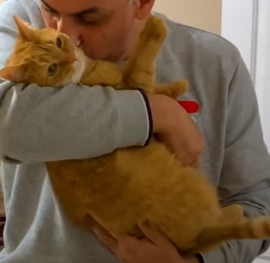 T1912019 Rescue baby cat fall into water tank #rescue #animals #animalsof