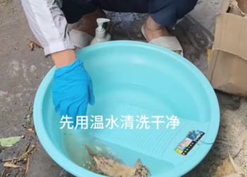 T0101002 Still breathing… still hoping someone notices.