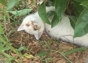 T0101004 Every second here feels like goodbye.