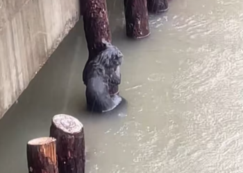 T0101006 Silence hurts more than pain.