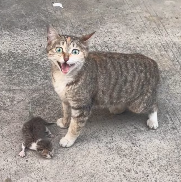 T0101009 Someone walked past. Someone else didn’t.