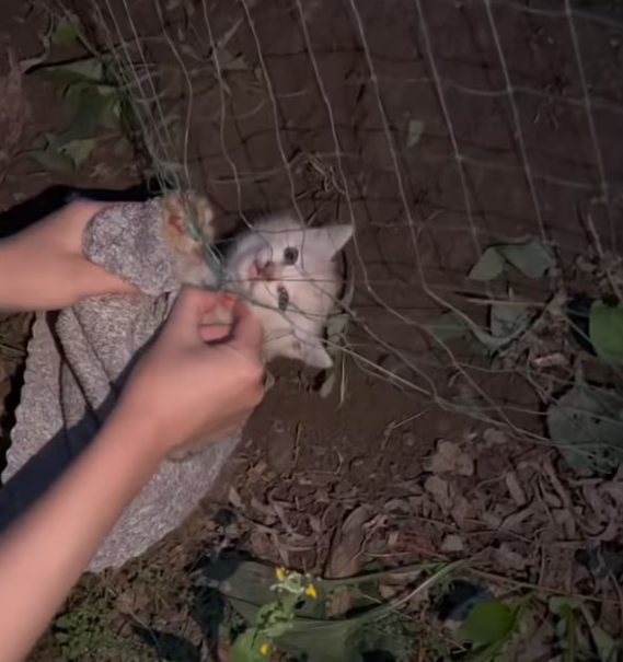 T0101012 He’s waiting for the moment that saves him.