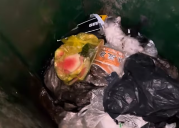 T0101013 Forgotten doesn’t mean gone.