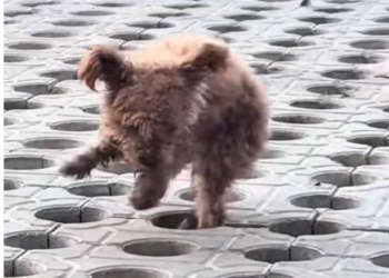 T0101016 One look changed everything.