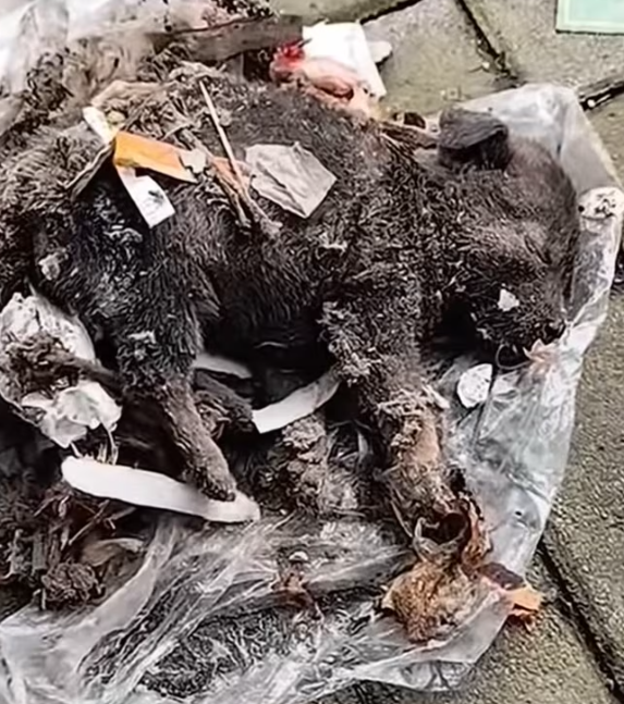 T0101017 He held on longer than anyone should.