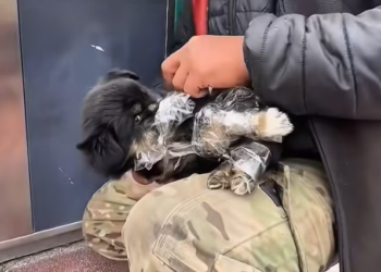 T0101019 Not dead. Not safe. Not alone anymore.