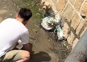 T0101021 This wasn’t supposed to be his life.