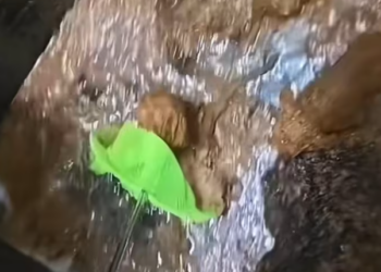 T0101028 Sometimes rescue starts with one pause.