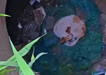 T0101033 He believed someone would stop.