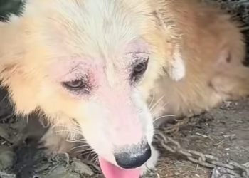 T0101034 One step closer to safety.