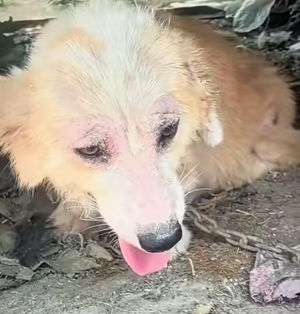 T0101034 One step closer to safety.