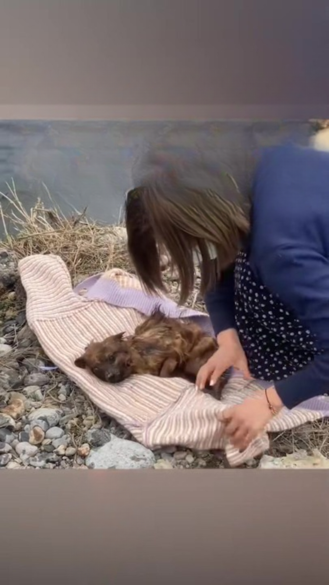 T0102015,Seconds decided whether this puppy would live 💔 #dogrescue #animalstory
 - Image 1