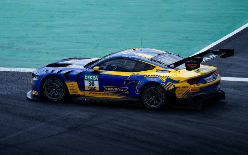 T0102002,A lonely alpaca wandered until one farmer chose to care 💔 #animalrescue #kindness
 - Image 4