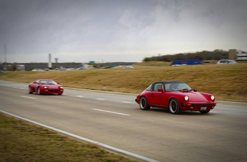 T0102003,Every rescue begins where suffering almost ends 💔 #animalrescue #hope
 - Image 2