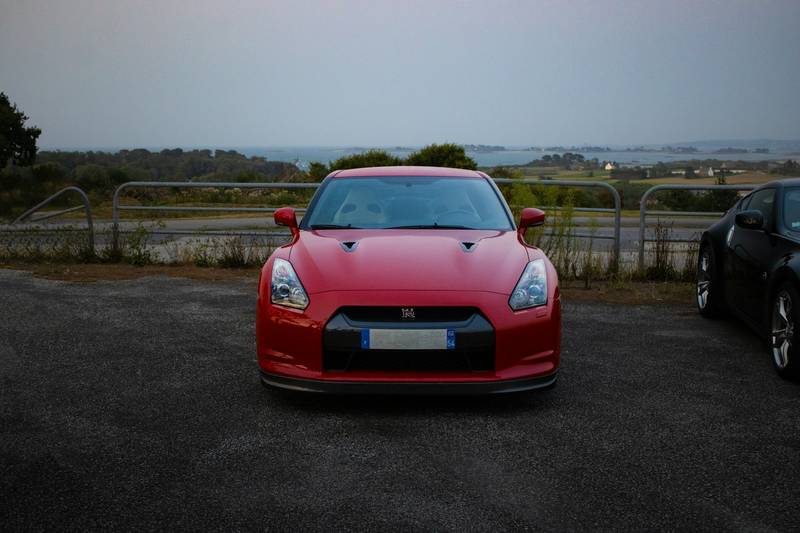 T0102003,Every rescue begins where suffering almost ends 💔 #animalrescue #hope
 - Image 3