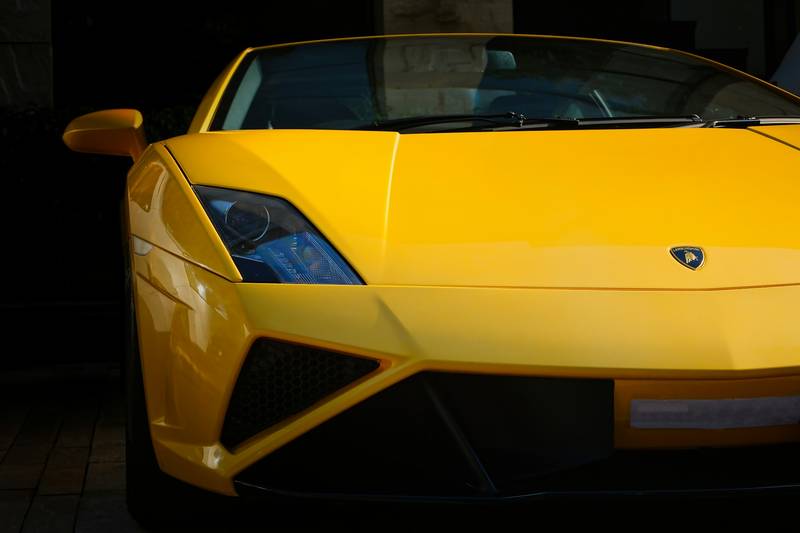 T0102004,Behind this rescue were tears fear and a life almost lost 💔 #rescueanimals #adoptdontshop
 - Image 2