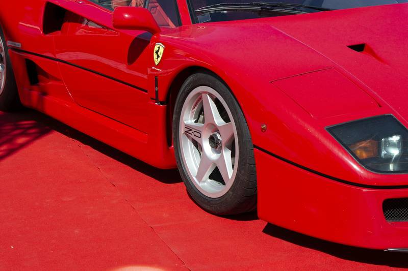 T0102008,Injured and terrified this kitten had no strength left 💔 #kittenrescue #animalhope
 - Image 2