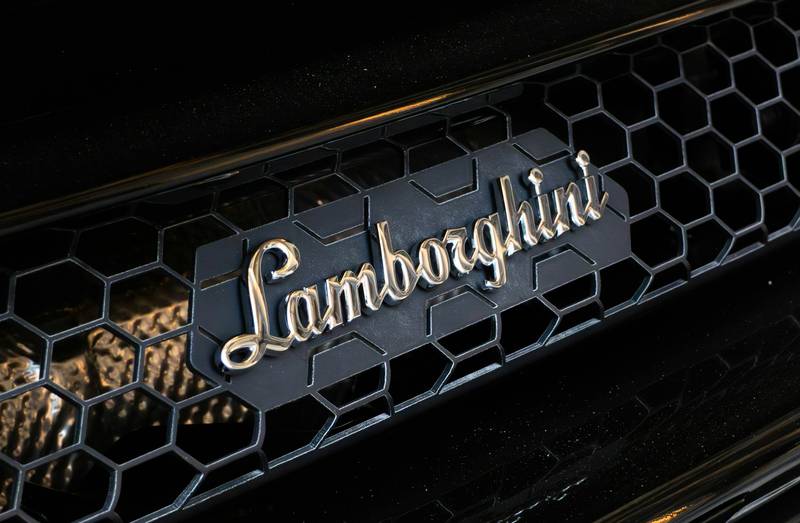 T0102009,Covered in snow and shivering this dog was fading fast 💔 #dogrescue #animalstory
 - Image 4