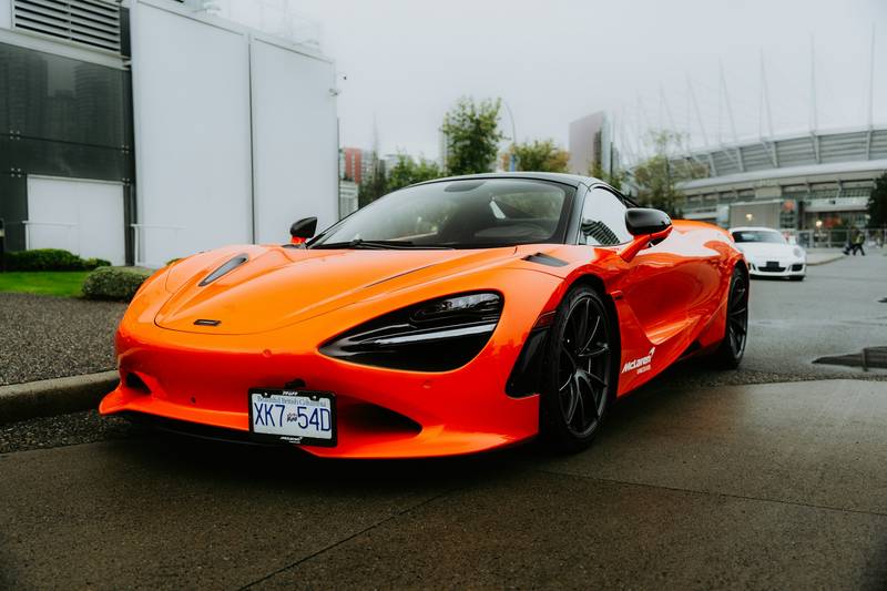 T0102009,Covered in snow and shivering this dog was fading fast 💔 #dogrescue #animalstory
 - Image 3