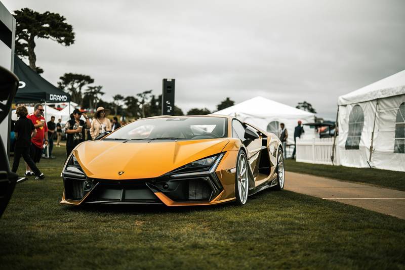 T0102010,Fear ruled his eyes because humans had hurt him before 💔 #rescuedog #animalabuse
 - Image 3