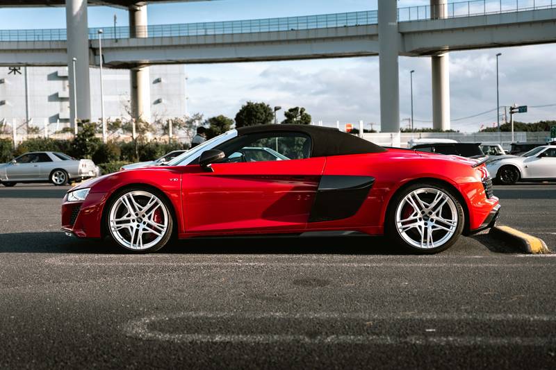 T0102010,Fear ruled his eyes because humans had hurt him before 💔 #rescuedog #animalabuse
 - Image 4