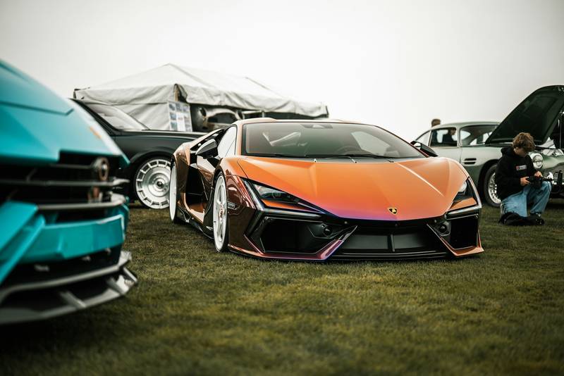 T0102011,This kitten broken leg could not run from pain 💔 #kittenrescue #animalstory
 - Image 2