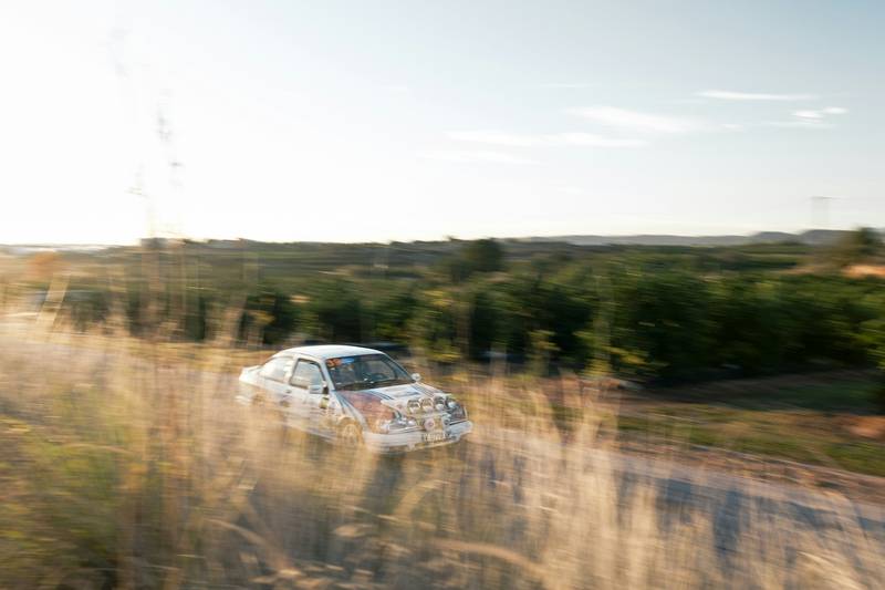 T0102012,With a shattered jaw this puppy still begged for help 💔 #puppyrescue #animalabuse - Image 2